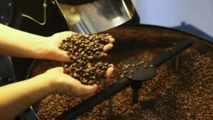TVTNews 25 mapa-divulga-nova-lista-marcas-cafe-torrado-improprios-consumo-marcas-desclassificadas-padroes-qualidade-consumo-marcello-casal-jr-agencia-brasil-tvt-news