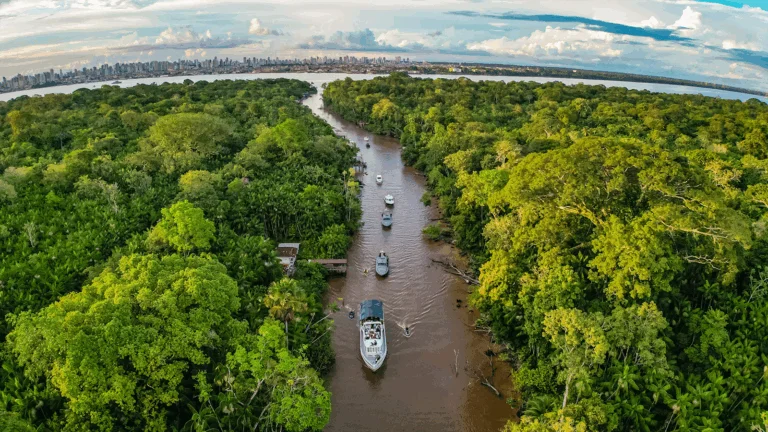 TVTNews 5 cop-30-para-foi-o-estado-com-maior-desmatamento-do-brasil-de-2019-a-2024-para-sera-sede-da-cop-30-foto-ricardo-stuckert-pr-tvt-news