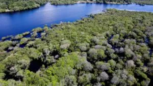TVTNews 25 biomas-em-alerta-povos-em-luta-brasil-assiste-a-preocupante-movimento-de-retrocesso-ambiental-foto-agencia-brasil-tvt-news