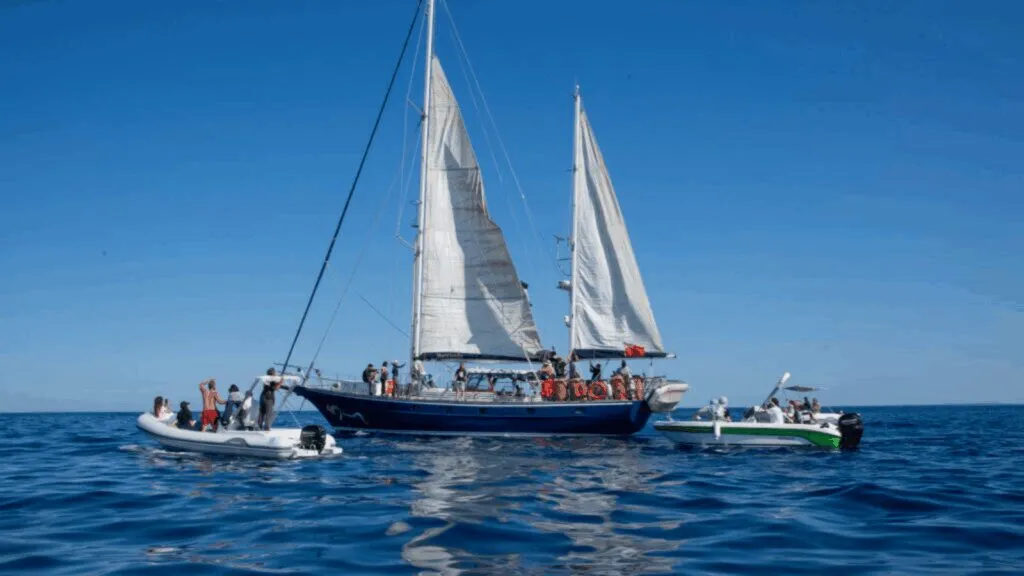 Greta Thunberg viaja para Gaza em protesto contra Israel 1 greta-thunberg-viaja-gaza-protesto-contra-israel-o-navio-e-chamado-de-matleen-em-homenagem-a-primeira-pescadora-de-gaza-foto-freedom-flotilla