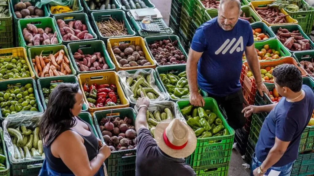 Cesta básica tem custo menor em 11 capitais, mostra Dieese A batata está entre os produtos que tiveram queda. Foto: Rafa Neddermeyer/Agência Brasil TVT News