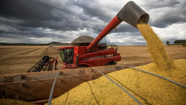 producao-brasileira-de-graos-deve-ser-14-2%-maior-a-previsao-e-de-que-90-milhoes-de-toneladas-sejam-consumidas-internamente-foto-wenderson-araujo-trilux-tvt-news