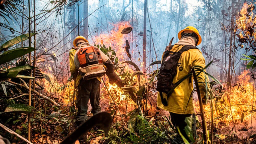 brasil-alcanca-menor-indice-focos-calor-ultimos-12-anos-mayangdi-inzaulgarat-ibama-tvt-news