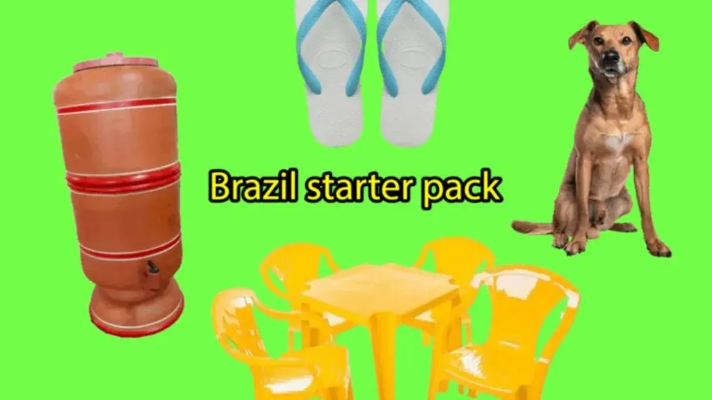 vocacao-brasileira-para-memes-ganha-exposicao-no-ccbb-memes-nao-sao-so-piadas-diz-curadora-foto-greengodictionary-instagram-tvt-news