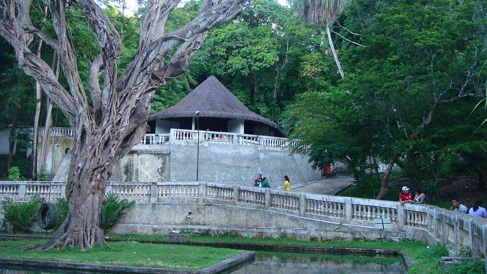 leoa-mata-jovem-em-zoologico-na-paraiba-tvt-news