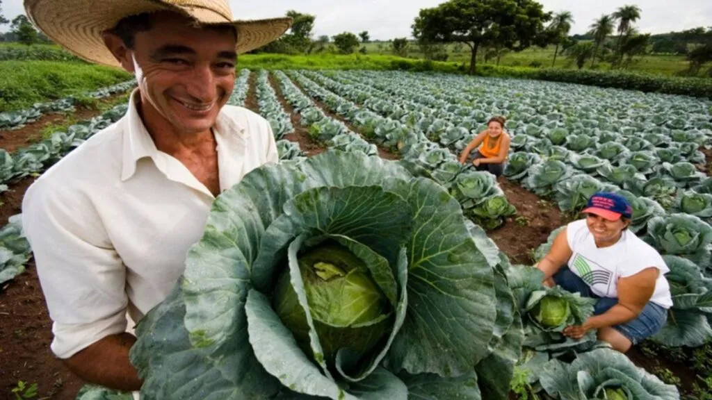 sorocaba-recebe-encontro-para-fortalecer-agricultura-familiar-e-seguranca-alimentar-em-sp-expectativa-e-reunir-representantes-de-dezenas-de-municipios-das-regioes-metropolitanas-de-sorocaba-e-campinas-foto-divulgacao-mda-tvt-news-plano-safra